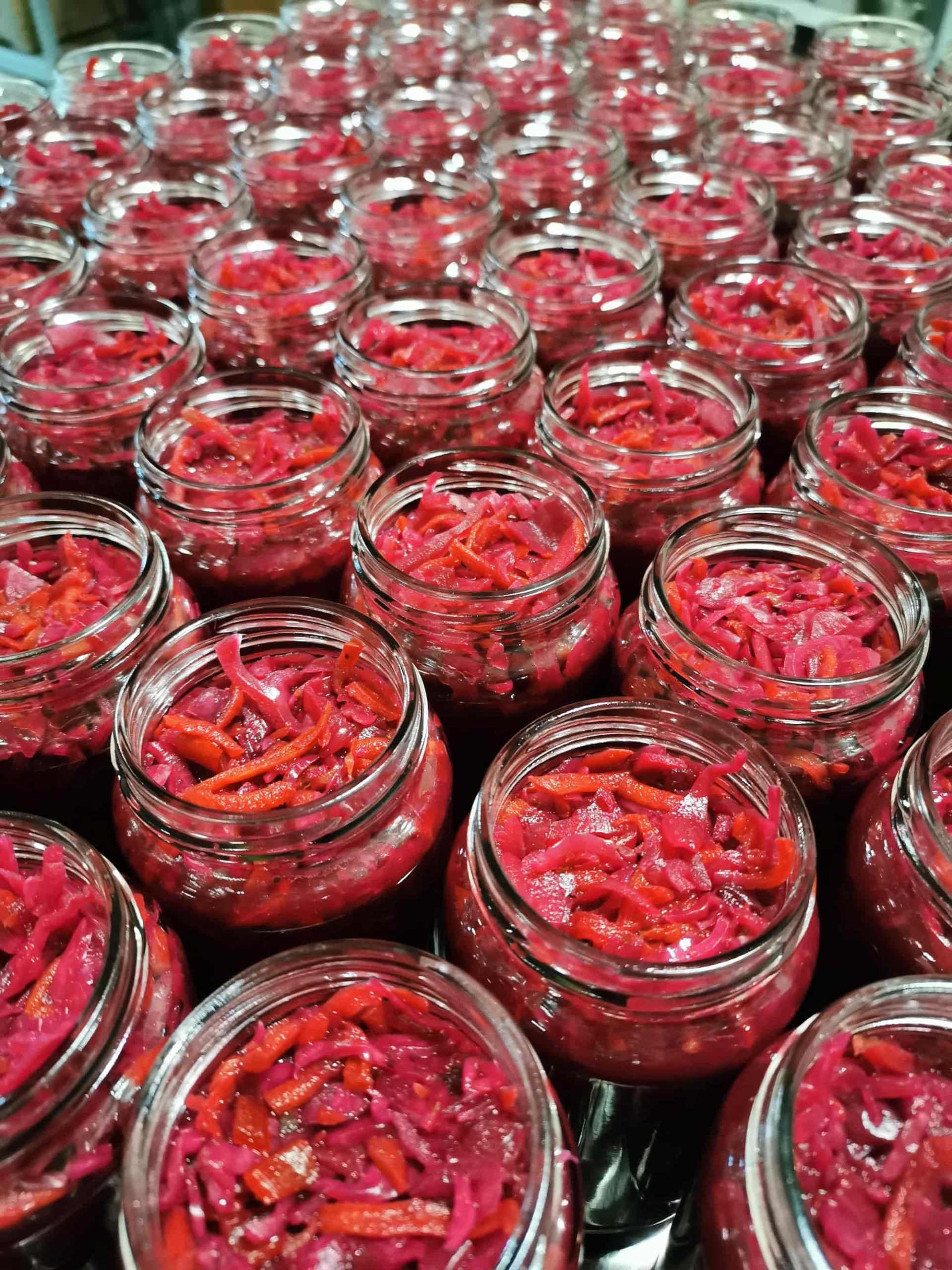 préparation de conserves de choux rouge fermentés par Terrafermenta à l'atelier à laeken